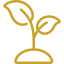 Grassroots Community Ownership